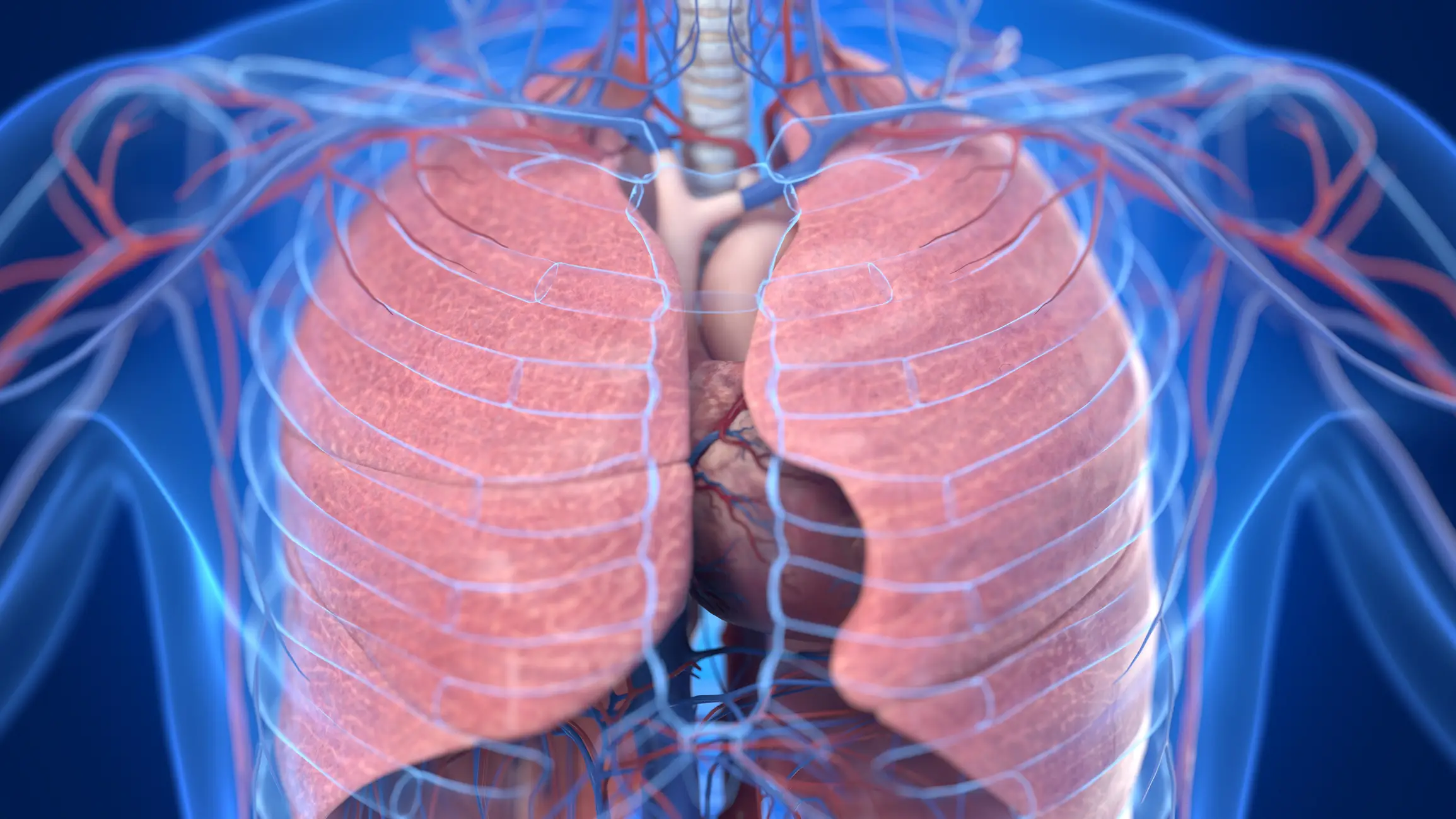 A study published in The Lancet found semaglutide reduced the risk of heart attacks, strokes and cardiovascular death in people with existing cardiovascular disease and overweight or obesity. (Getty Stock Image)