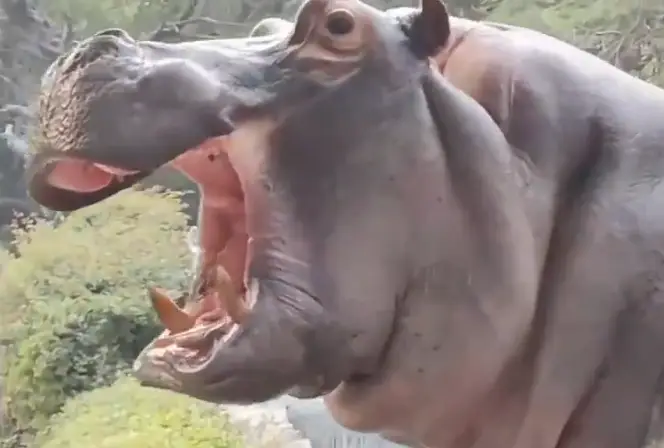 People can't get over the security guard's response.