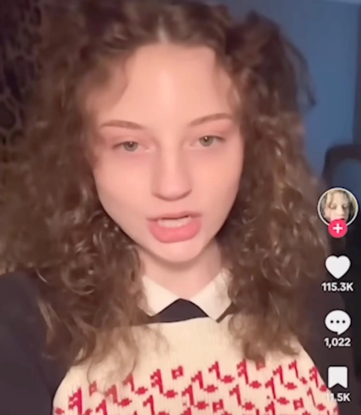 The 23-year-old also filed her own police report (TikTok)