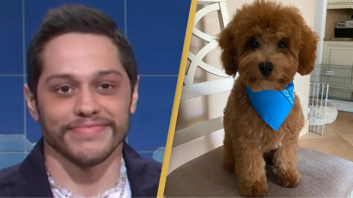 NBC/Instagram/@davesirus