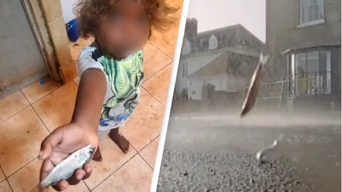 Fish start raining from sky in bizarre weather phenomenon