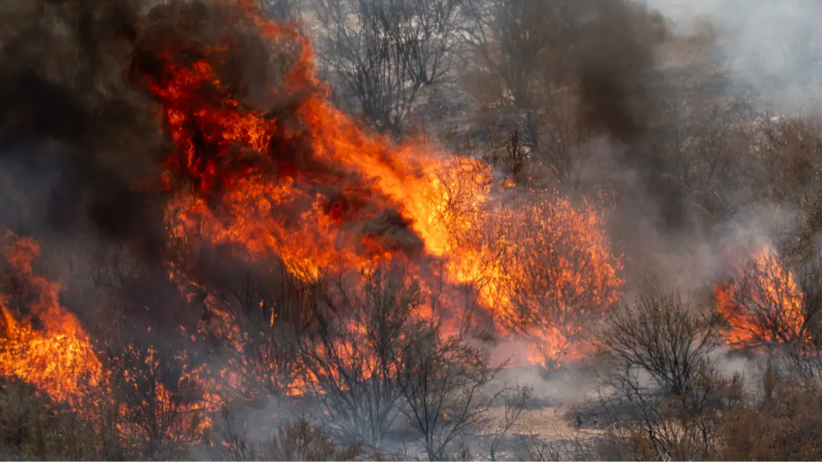 Getty Images/Bloomberg
