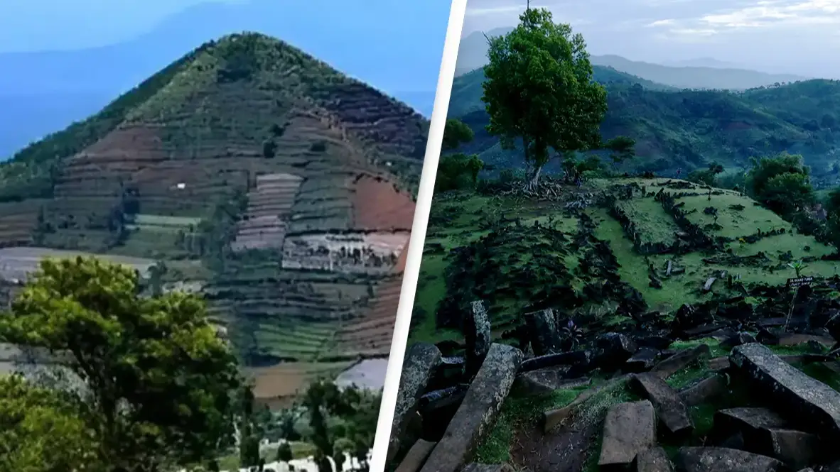 Creative Commons / Alex Ellinghausen/Fairfax Media via Getty Images