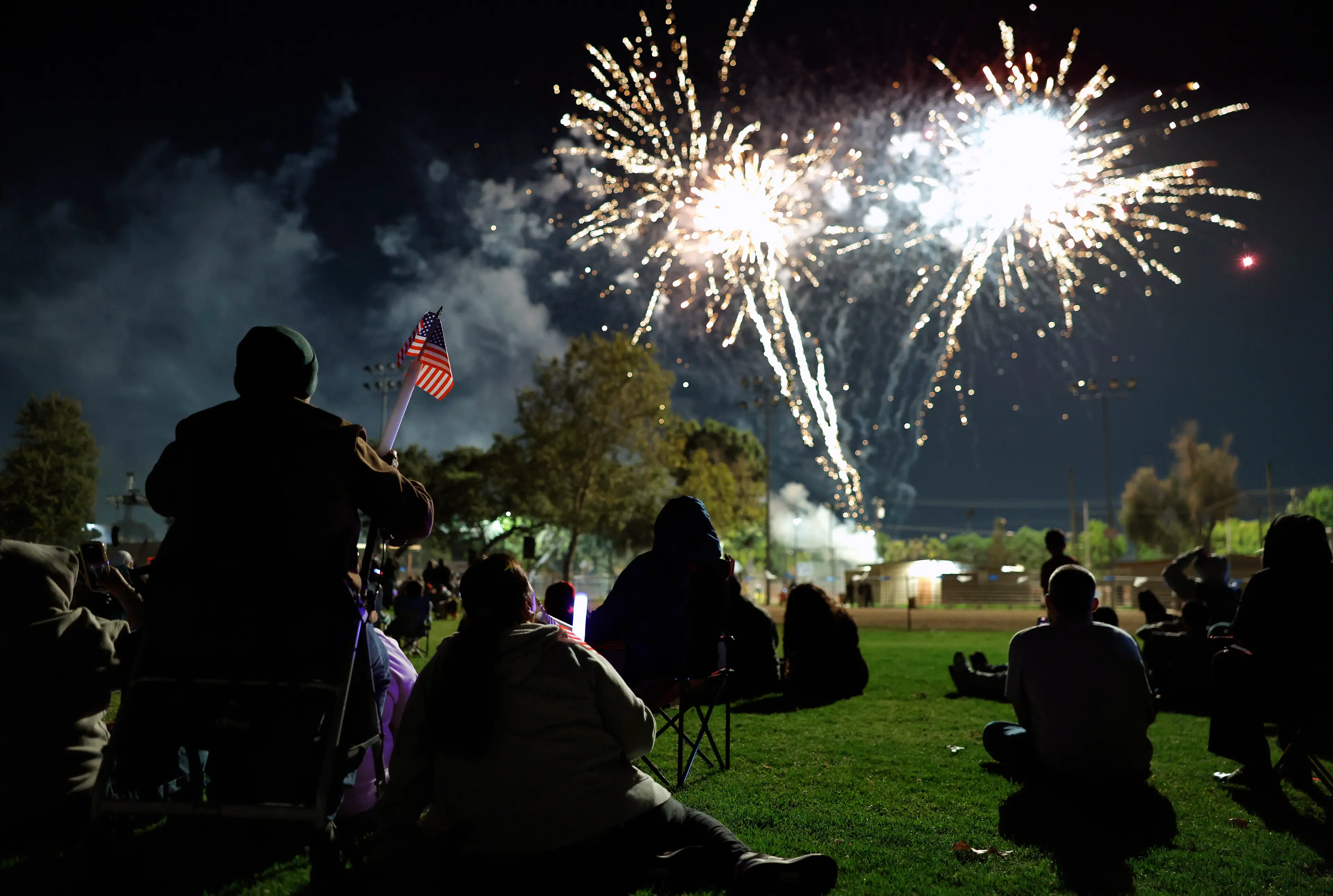 Fireworks can be distressing for pets (Mario Tama/Getty Images)