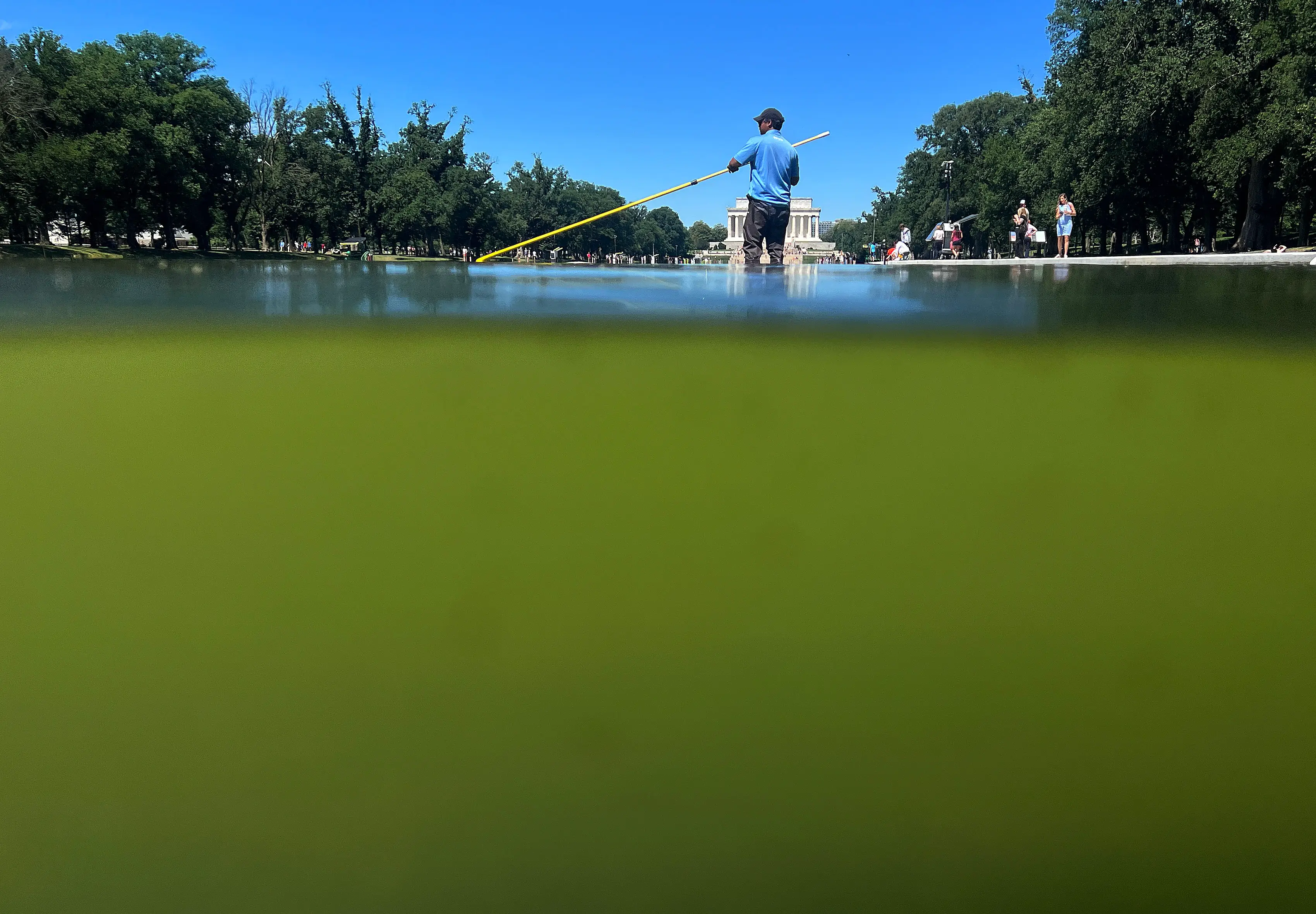 The water has turned a vibrant shade of green (Chip Somodevilla/Getty Images)