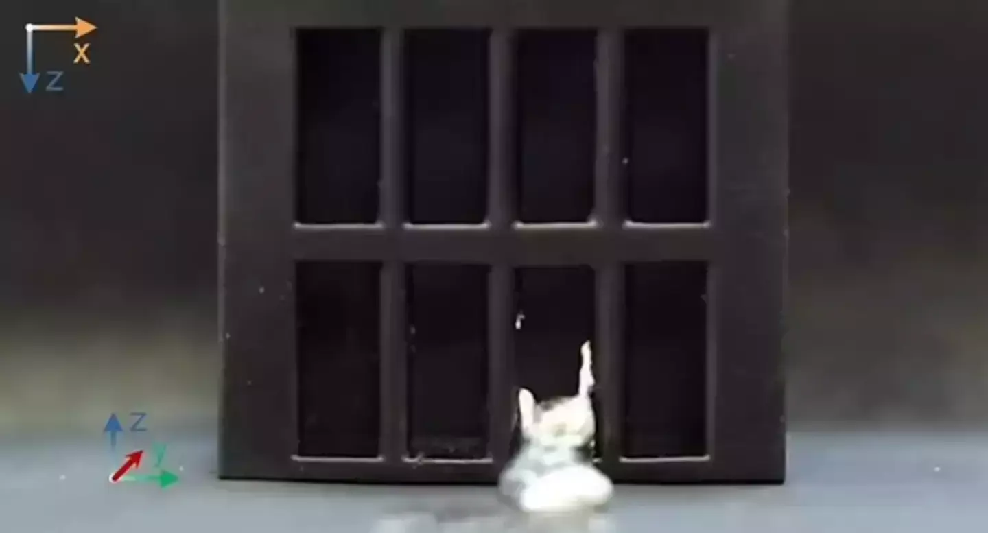 Yeah this is a big no from me (The Chinese University of Hong Kong)