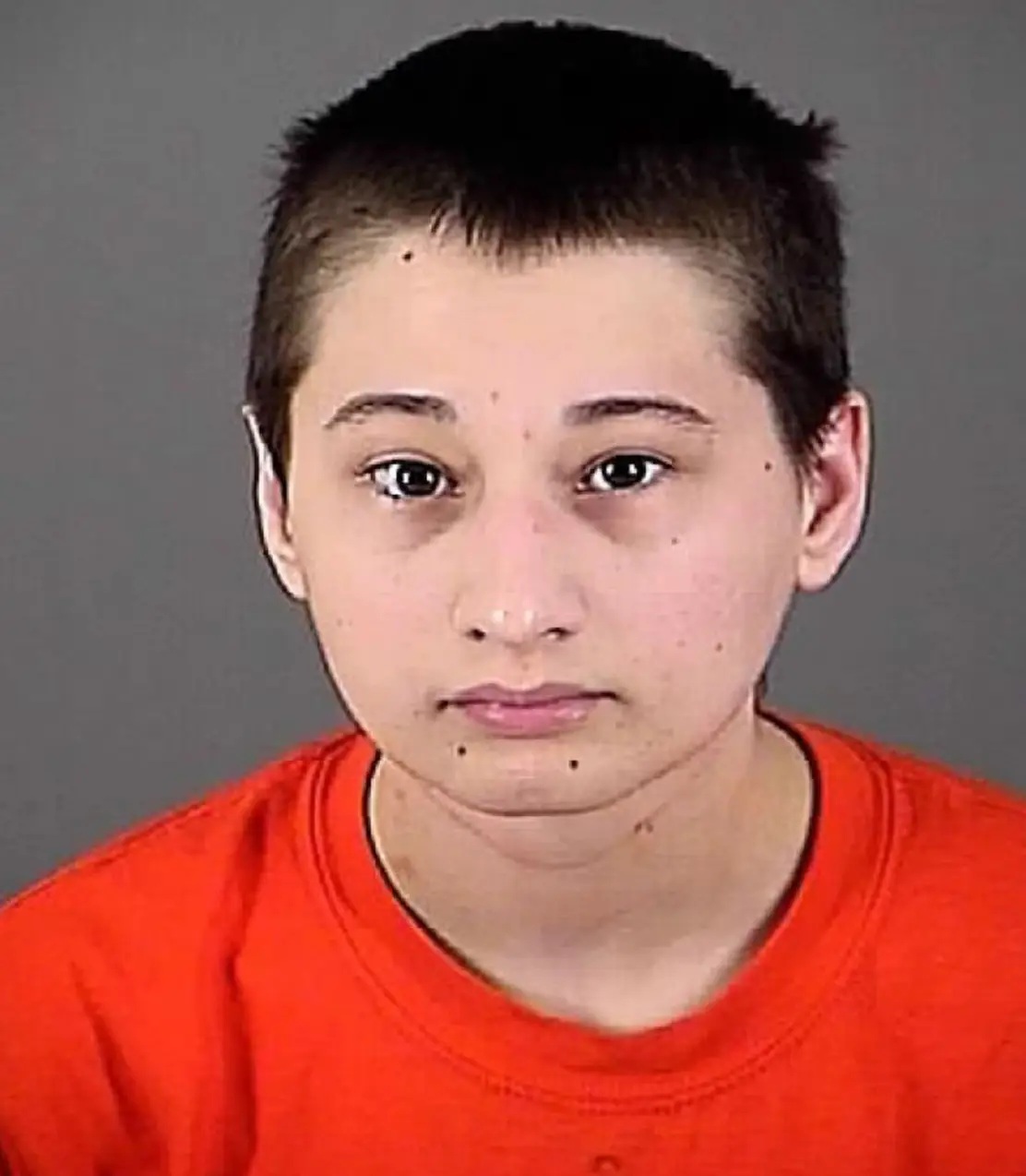 Gypsy-Rose was 23 years old when she was arrested (Waukesha County Sheriff's Department)