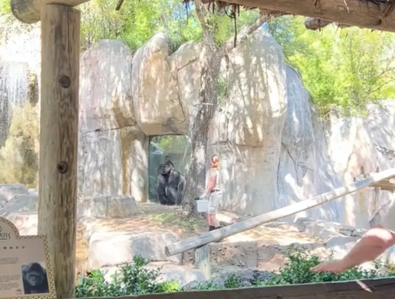 The second managed to run away.