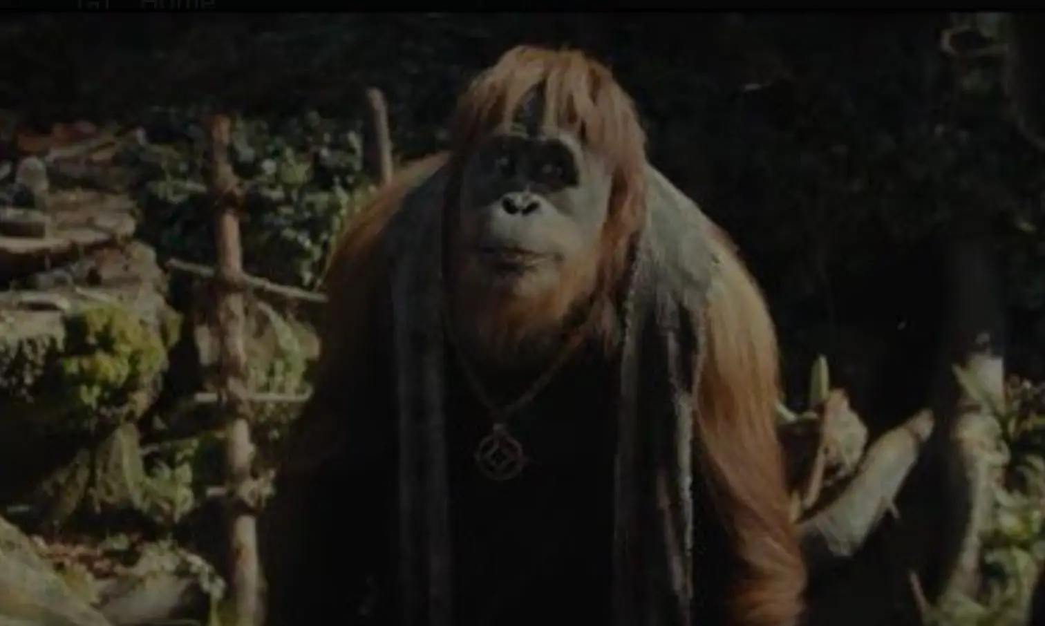 The window is seen in the first trailer.