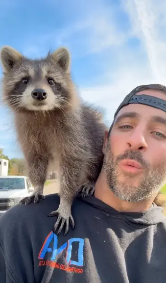 Fred was also killed after the raid (Instagram/@peanut_the_squirrel12)