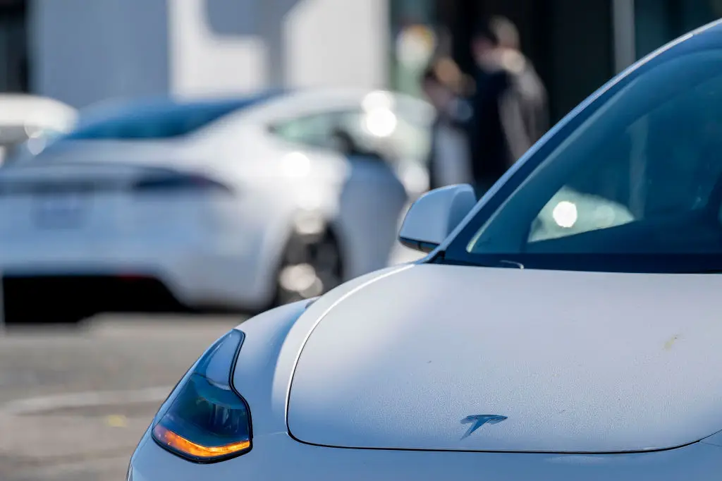 Zhang initially sued Tesla for defamation (David Paul Morris/Bloomberg via Getty Image)