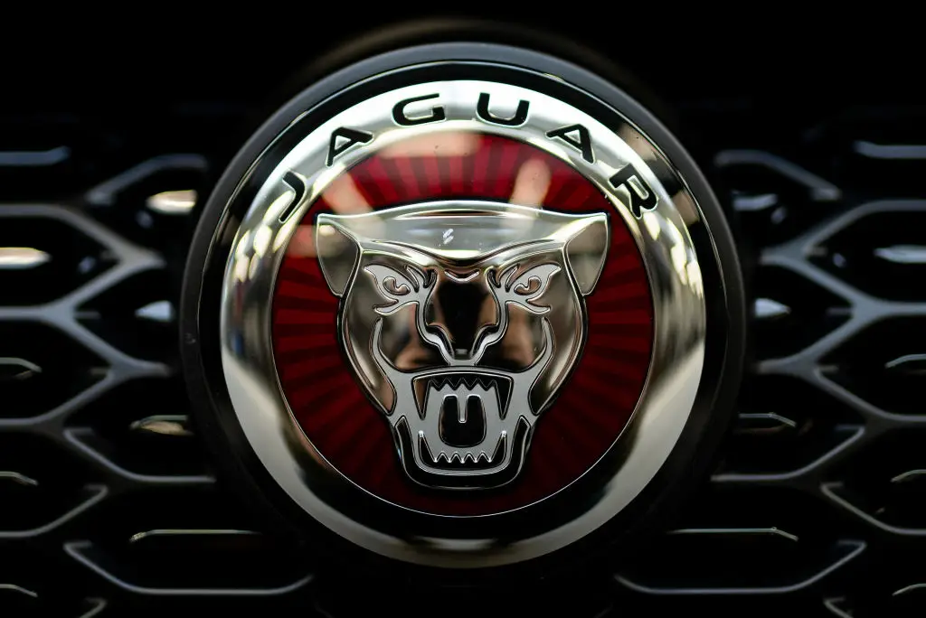Jaguar is having a rebrand (Mateusz Slodkowski/SOPA Images/LightRocket via Getty Images)