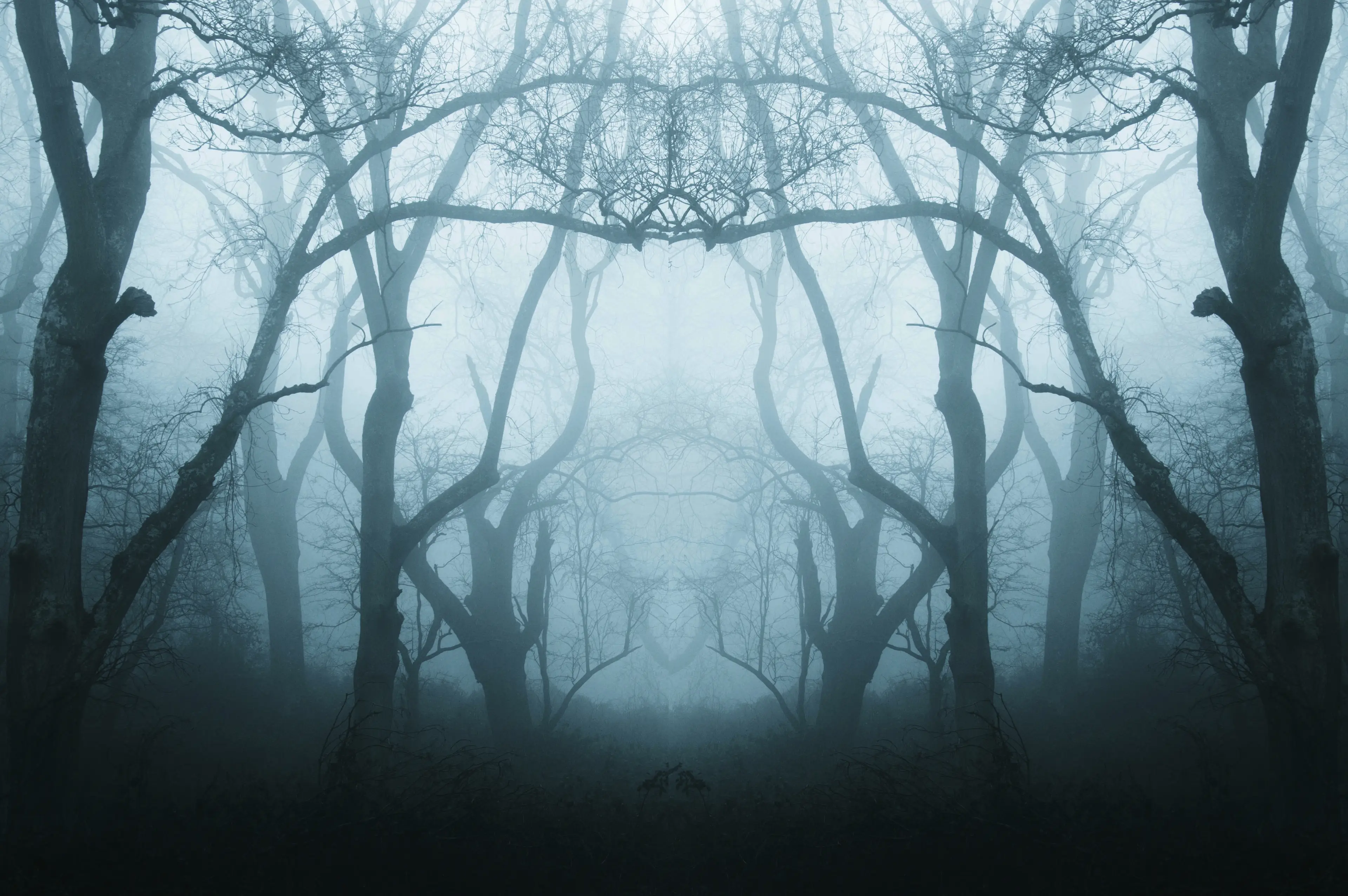 Wished you'd never learnt about the Dark Forest Hypothesis now, right?