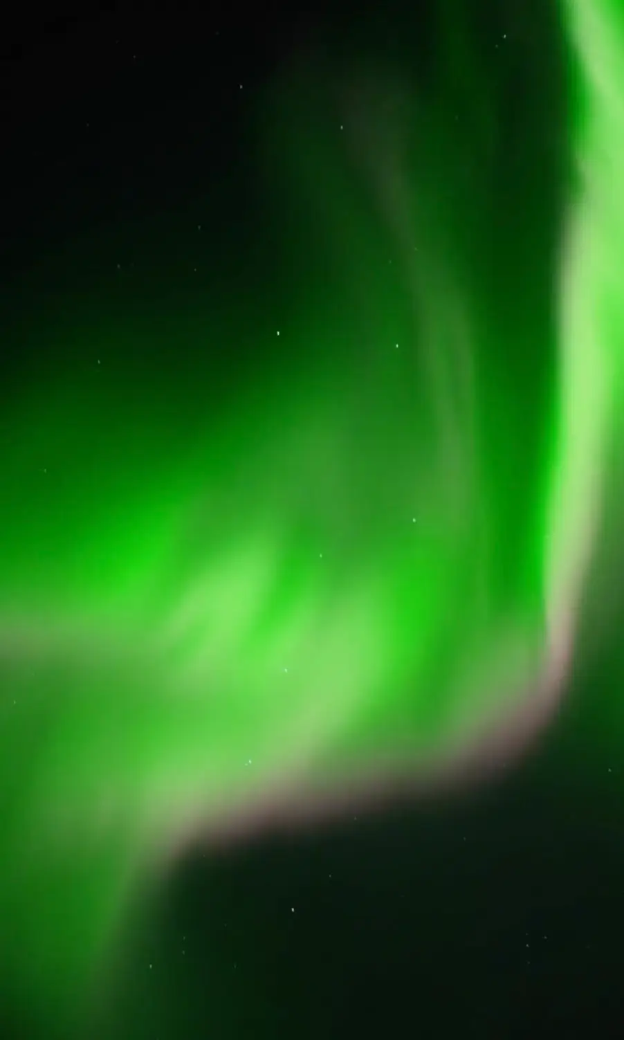 Look at those colours.