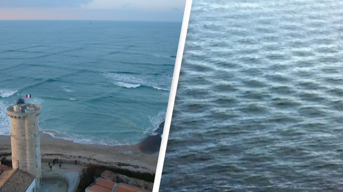 Wikipedia/Michel Griffon/YouTube/John Bern