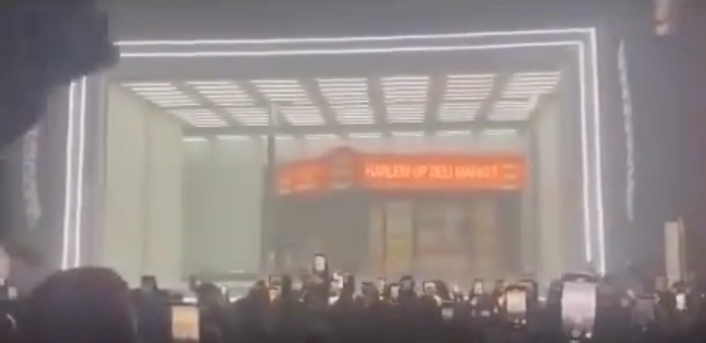 Drake was performing at the Apollo Theater in Harlem, New York, when a fan fell from the balcony.