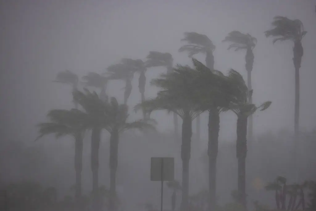 Experts have issued a warning. (David McNew/Getty Images)