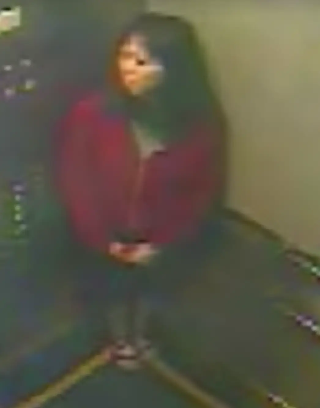 CCTV footage before her disappearance appears to show Elisa talking to someone in the elevator before odd behaviour. (Netflix)
