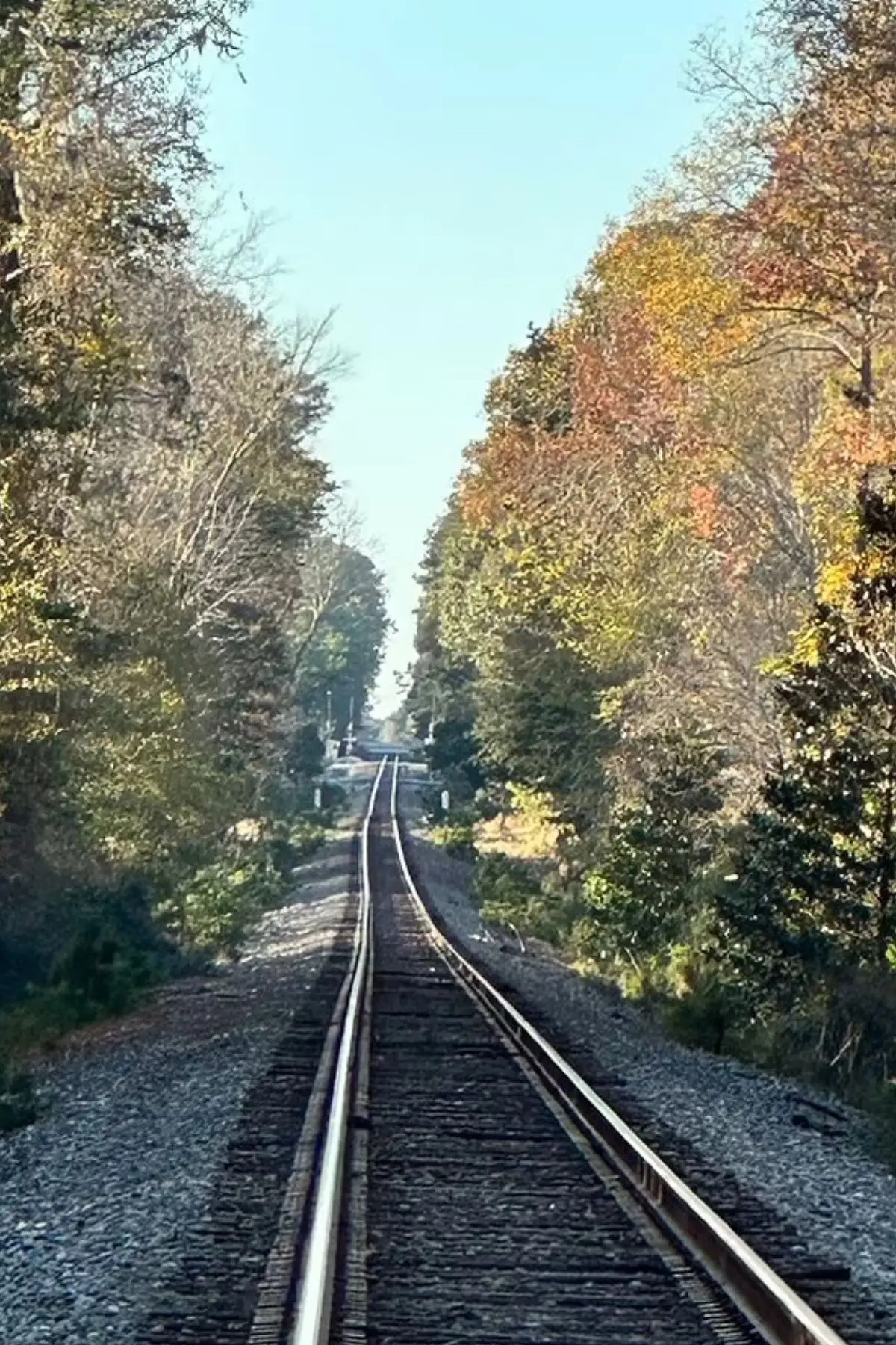 The secret of Summerville could lie within the nearby railway track (Susan Hough)