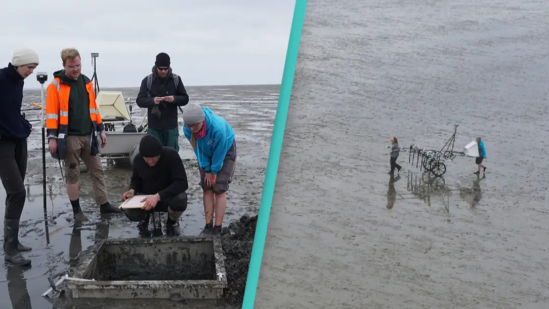 Ruth Blankenfeldt / Dirk Bienen-Scholt