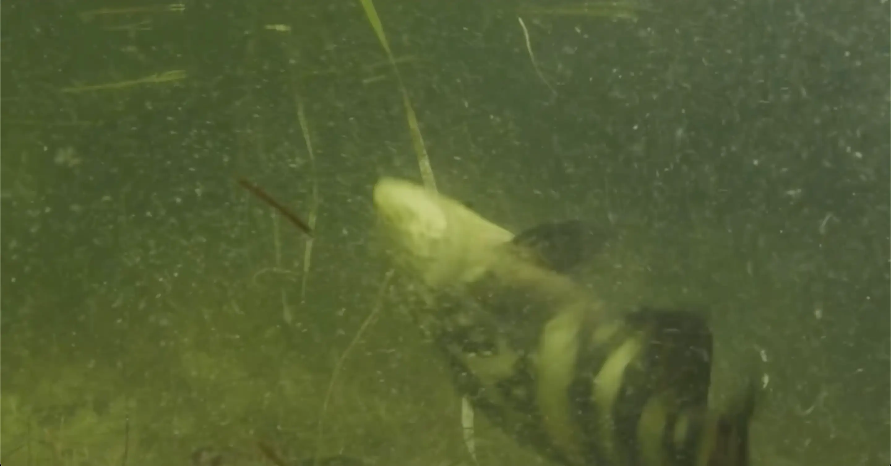 It's not clear what's causing the problem.