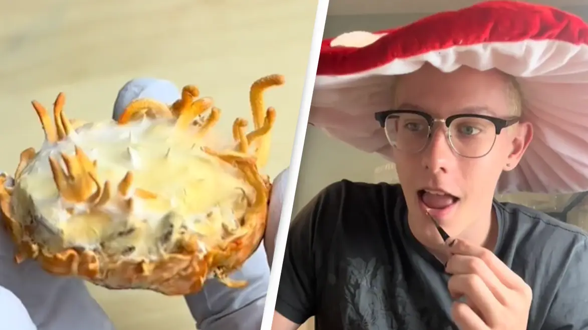 southernspore/TikTok