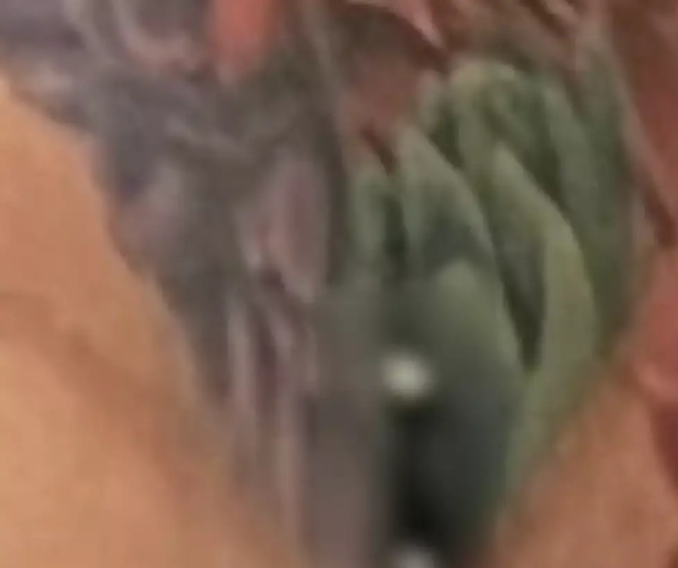 Cardi B's crack piercing apparently fell down the bog (Twitter/@iamcardib)