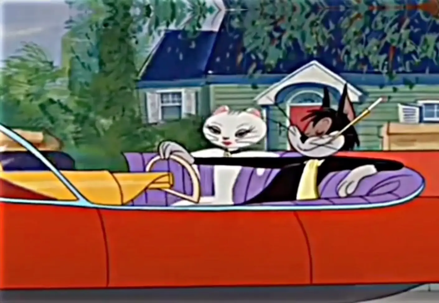 Tom is no match for Butch, in Toodles' eyes.