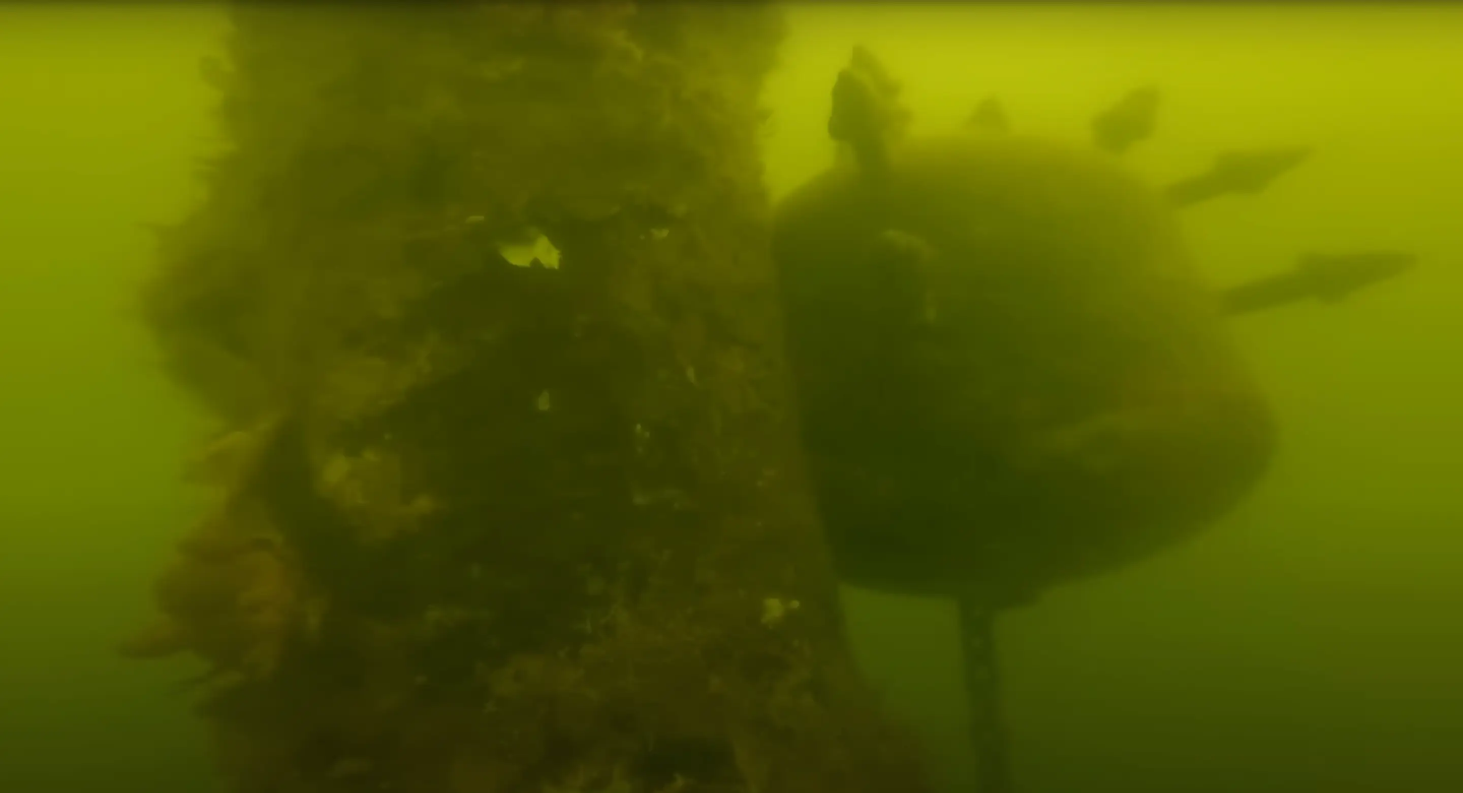 That's a little alarming! (YouTube/@DustySands)