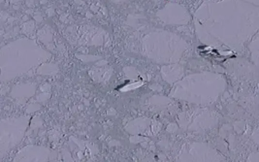 The so-called 'ship' was lying on its side in the ice.