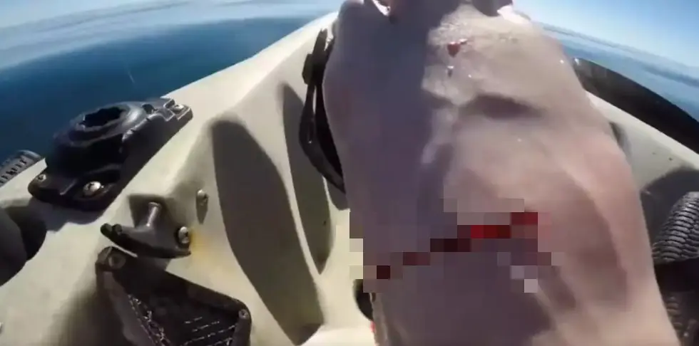 The shrimp caused quite a bit of damage. (YouTube/Mr.Markus)