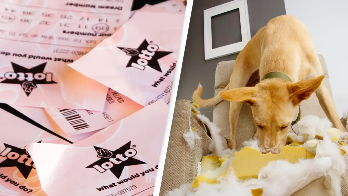 Jinny Goodman / Sandra Marisol Del Río Mendoza / Alamy Stock Photo