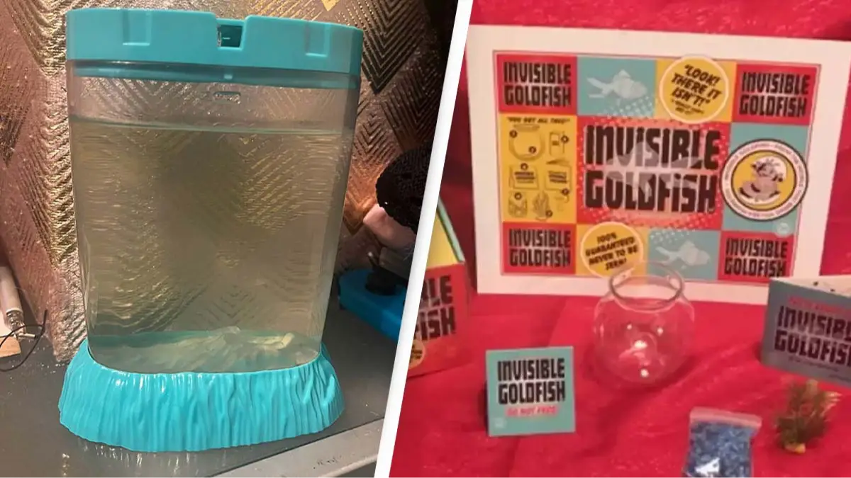 Twitter/@brokennoseclub/Sea Monkeys