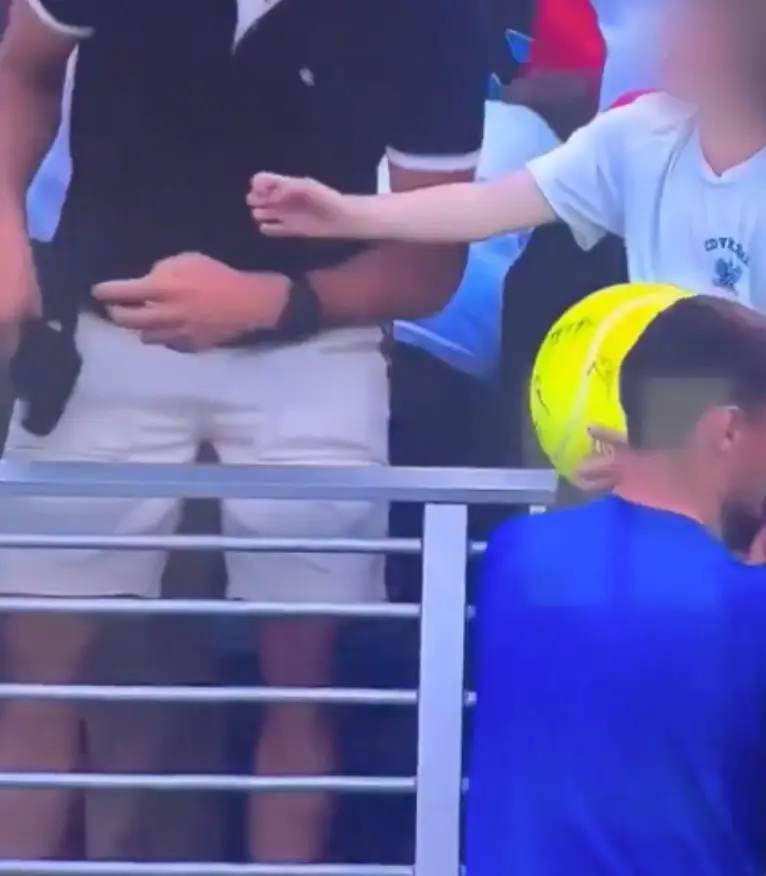 The act has been condemned online, with some claiming the 'theft' was classed as 'bullying' (USTA)