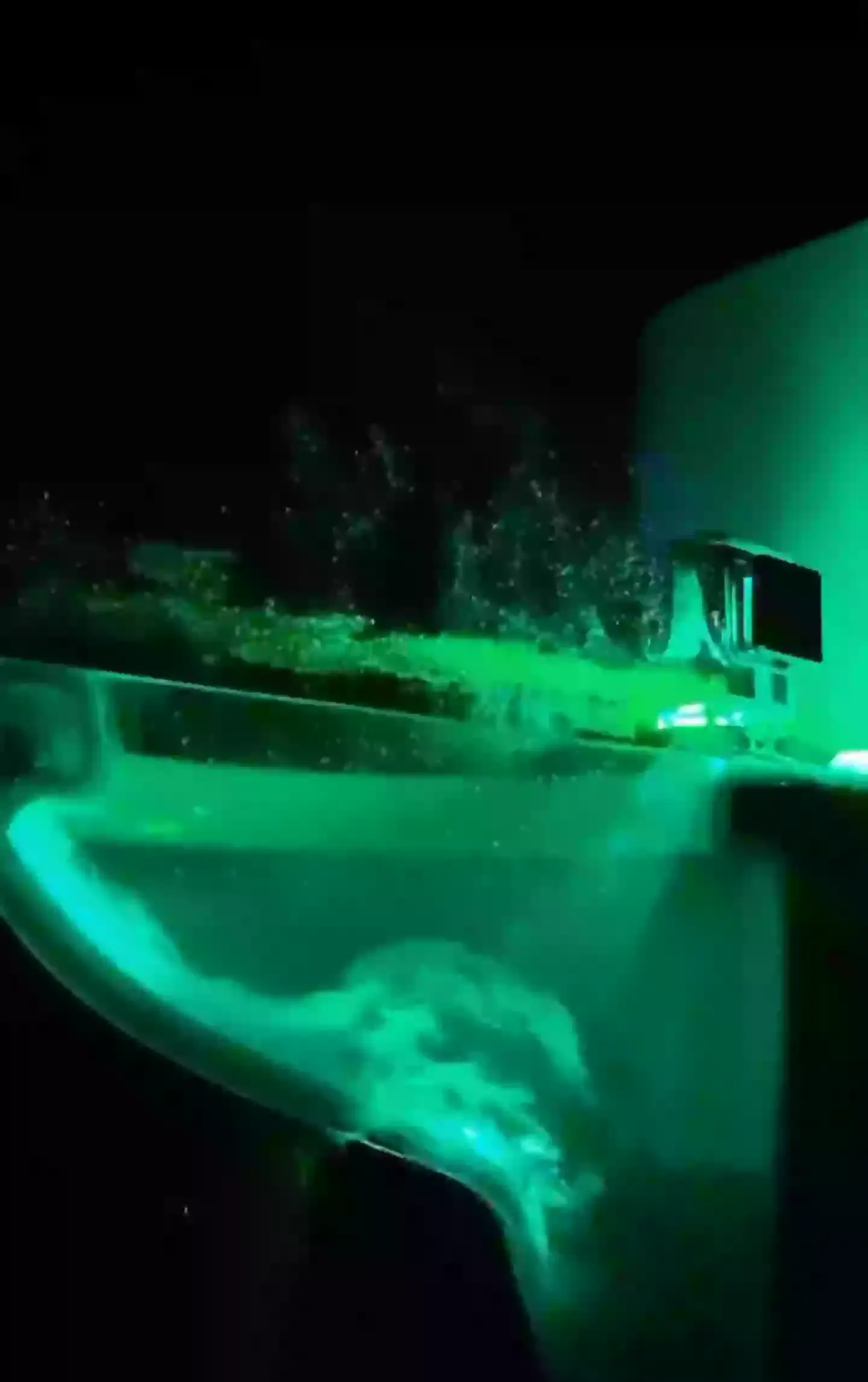 Germs from the toilet are seen flying out of the loo when it is flushed. (TikTok/DIYMAN_PRO)