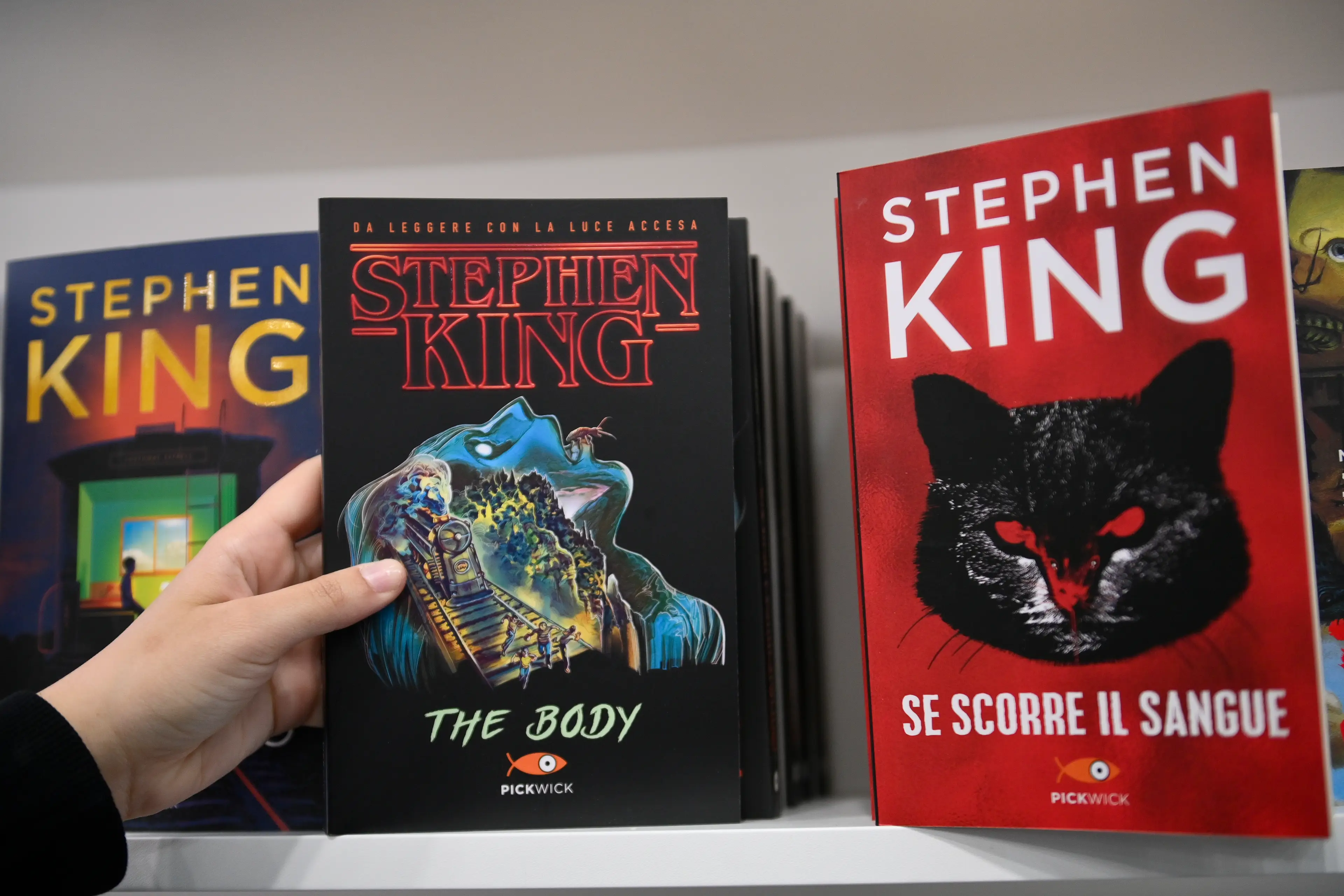 Some of Stephen King's novels have reportedly been banned from schools in Florida (Stefano Guidi/Getty Images) 