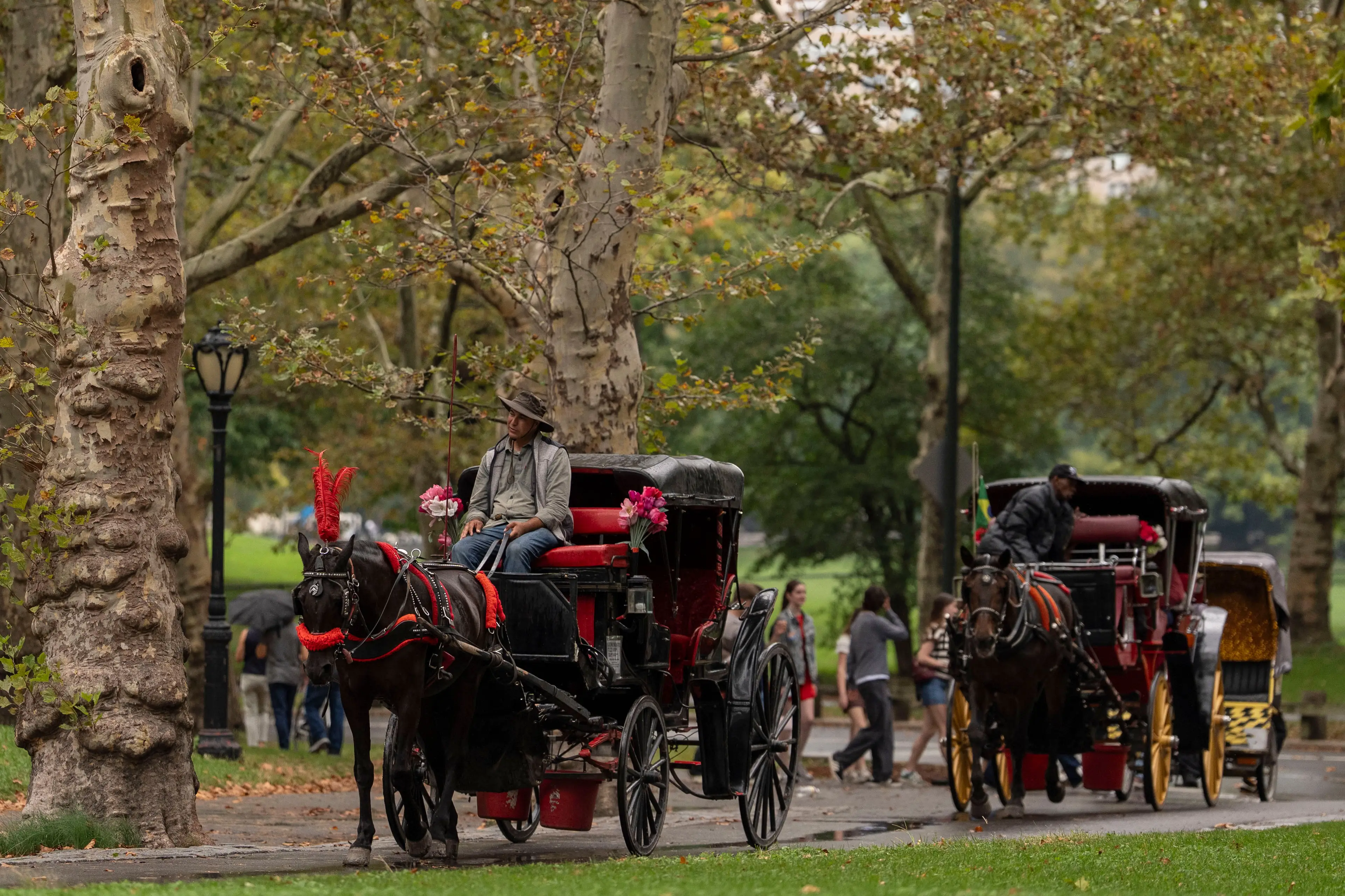 Horse-drawn carriages are being phased out of New York City (AP Photo/Yuki Iwamura)