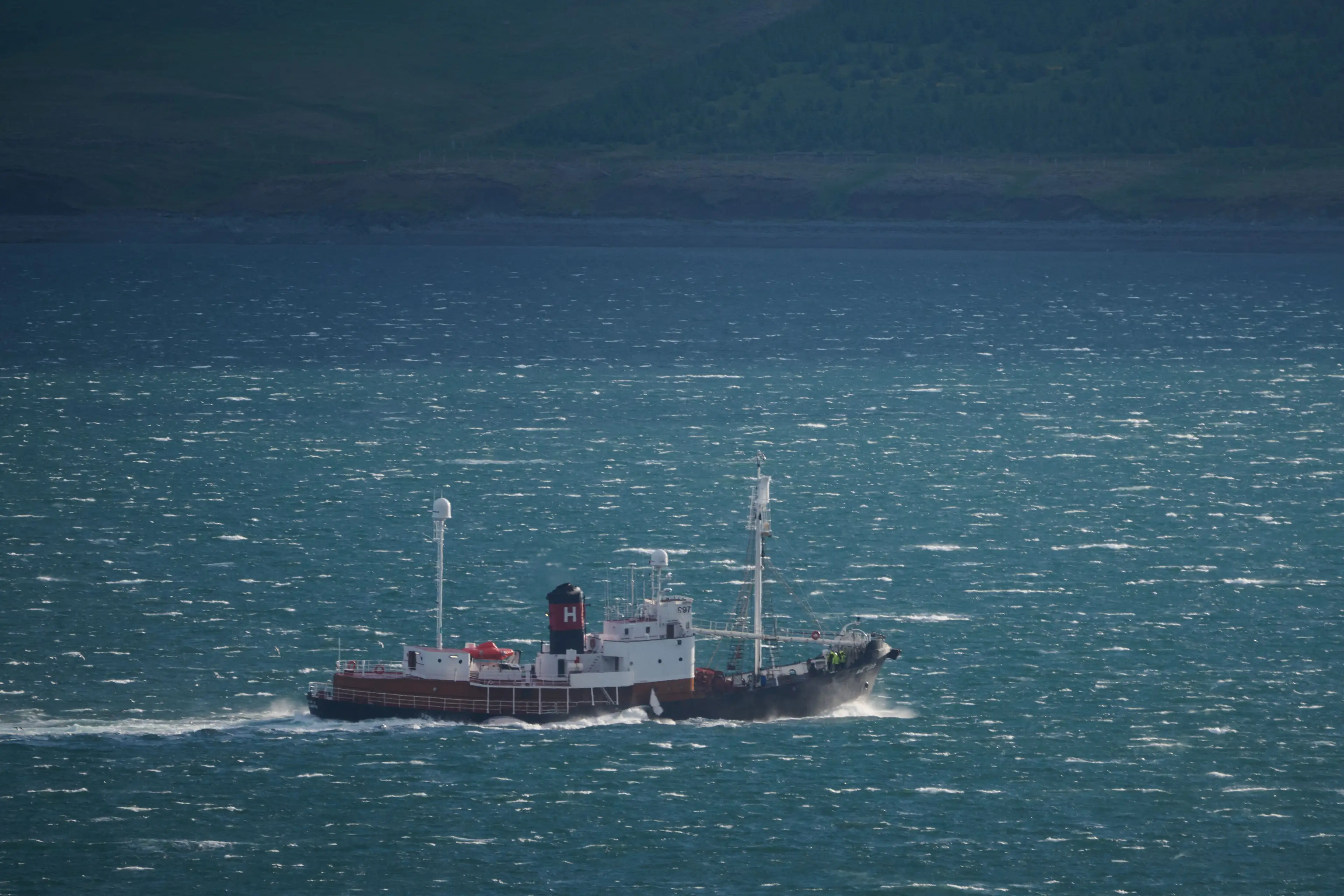 The move has been met by fierce backlash from animal rights groups (HALLDOR KOLBEINS/AFP via Getty Images) 