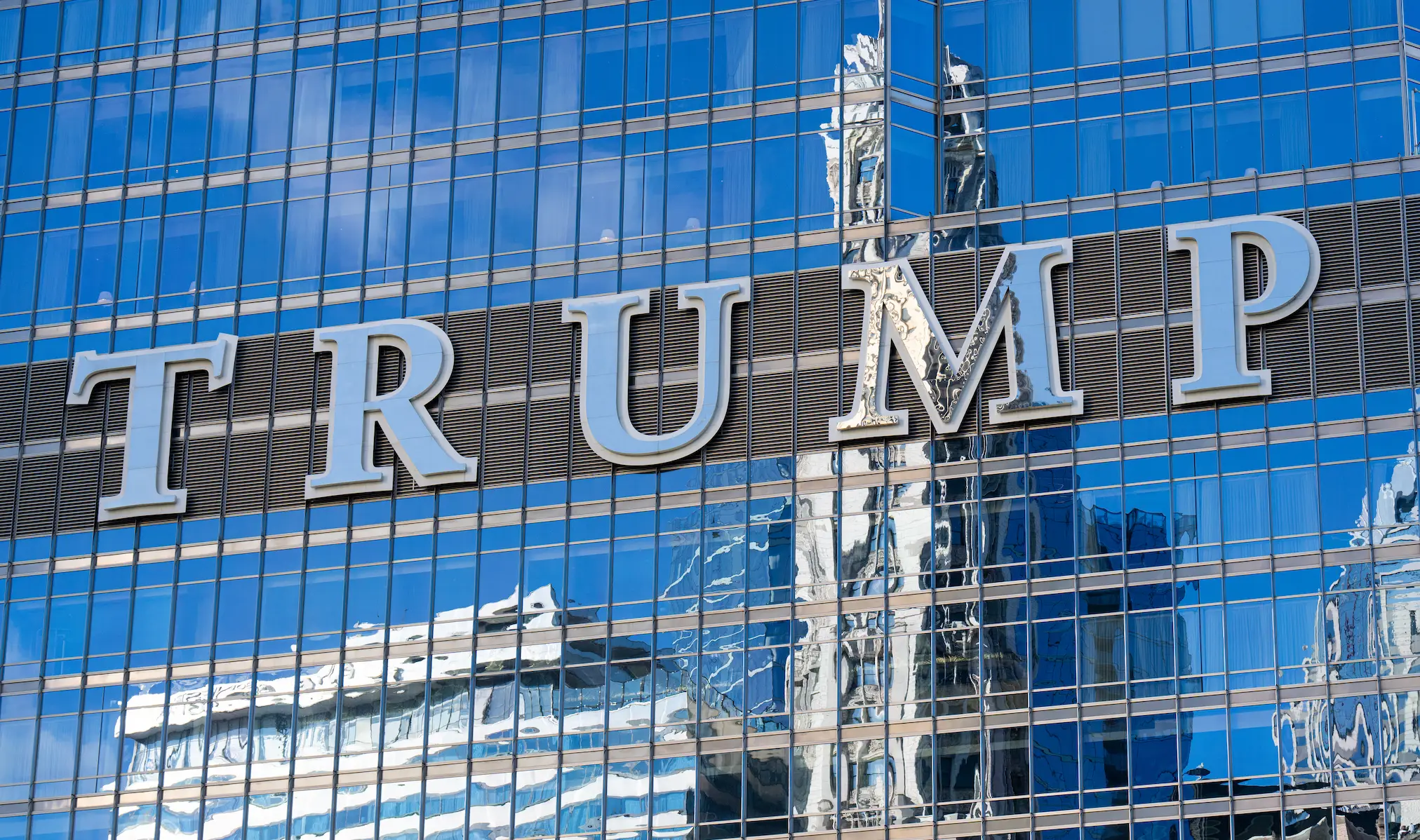 Apprentice contestants hoped to work at the Trump Organization (Bill Clark/CQ-Roll Call, Inc via Getty Images)