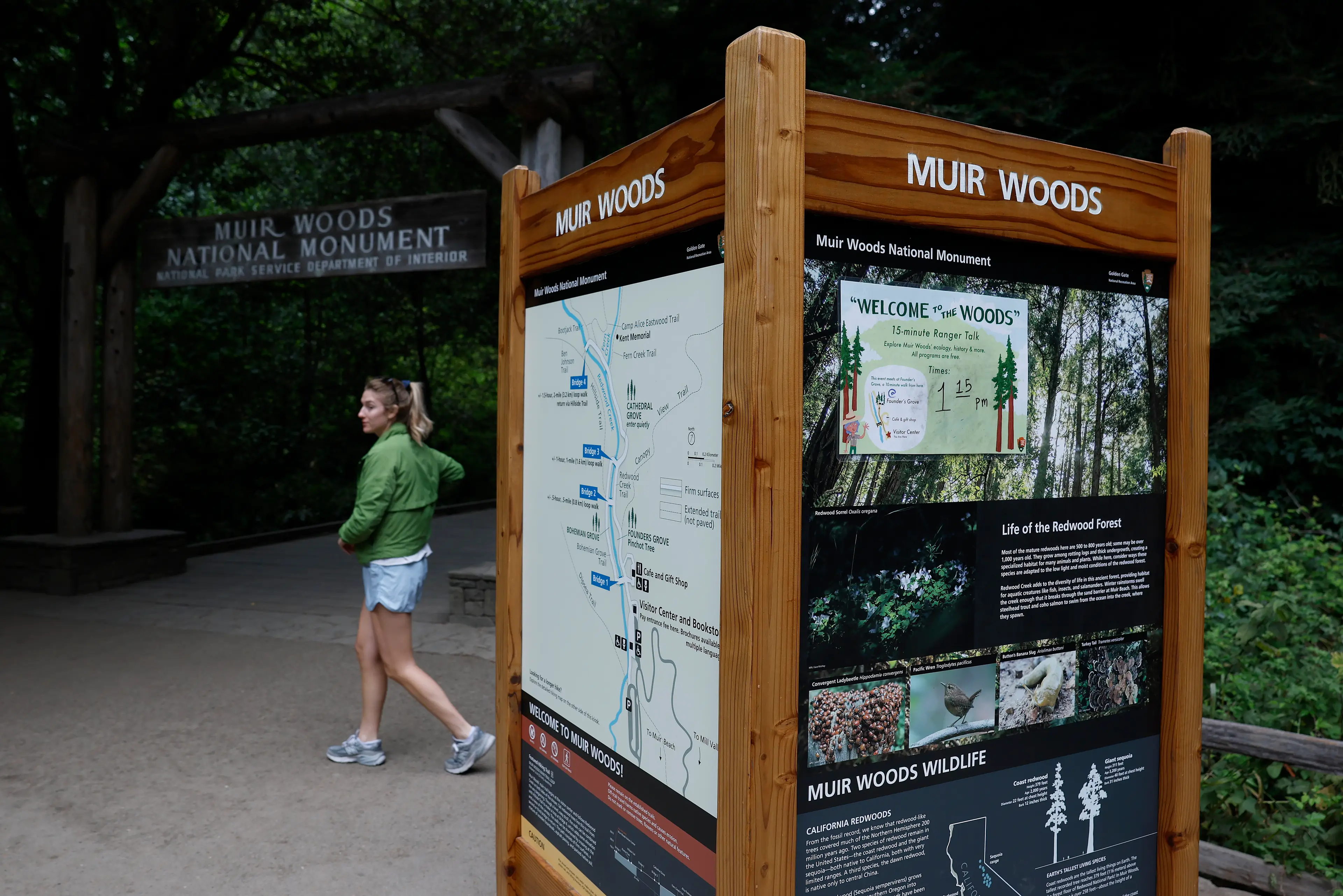 Visitors to Muir Woods saw a sign explaining Native Americans' relationship with the ancient redwood forest removed last year (Justin Sullivan/Getty Images)