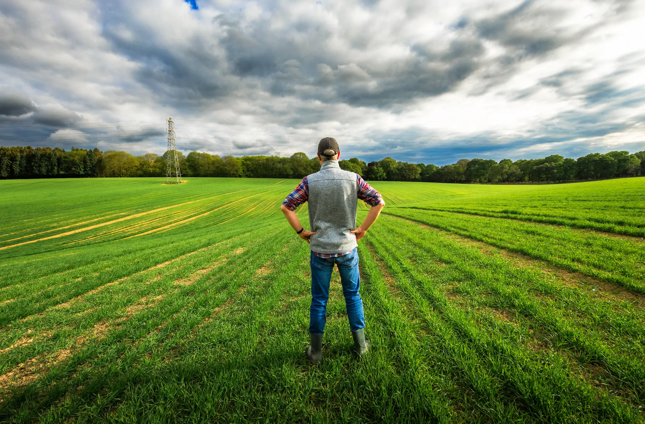 Farmers may now be struggling despite Trump's promises (Getty Stock Image)