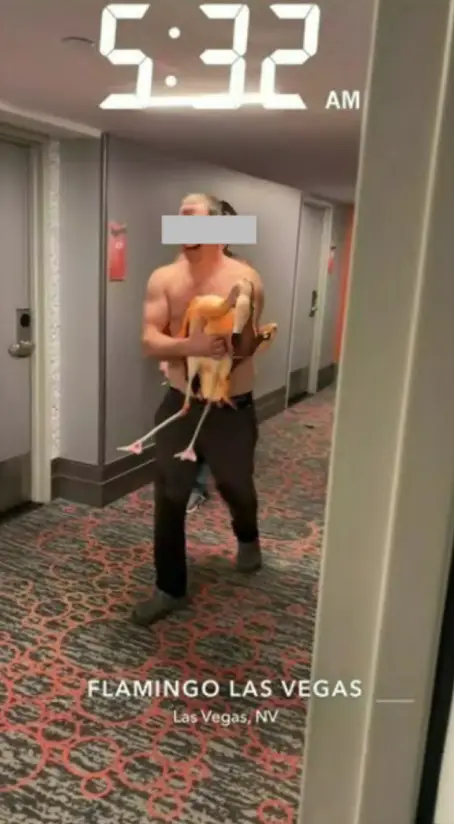 Footage appears to show the man carrying the bird to his hotel room (LVMPD)