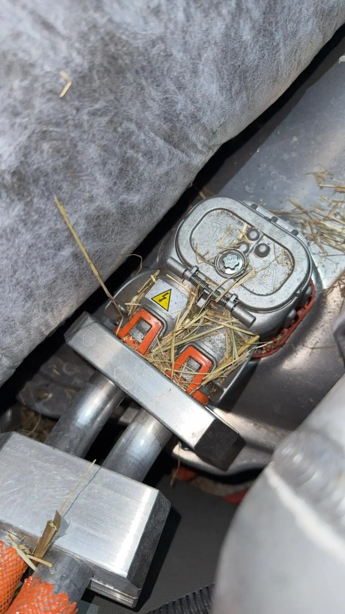 Reddit users have called the truck a 'pavement princess' (