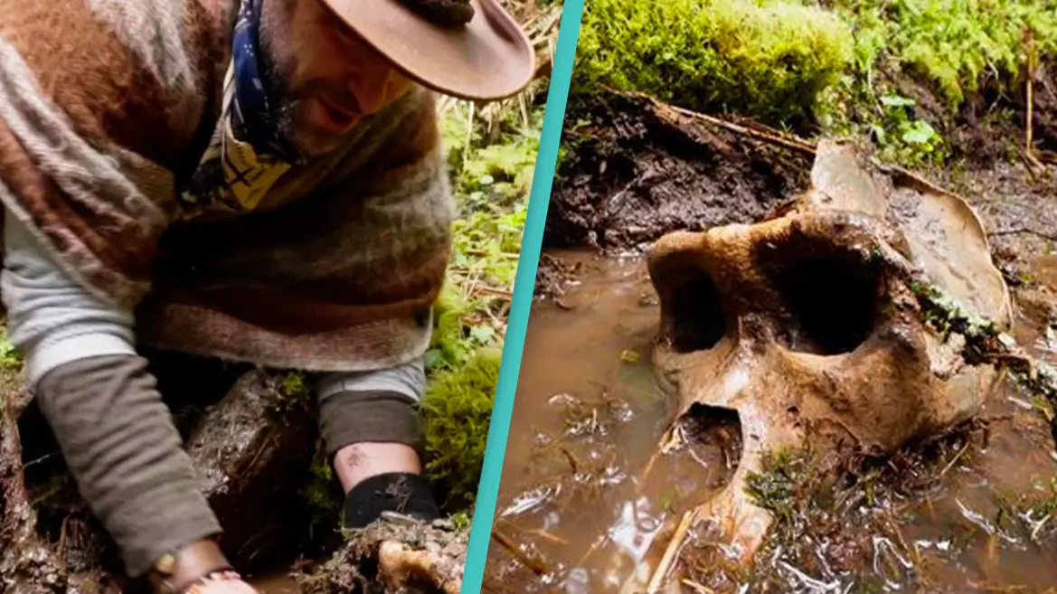 Adventurer Claims To Have Found The Skull Of Bigfoot