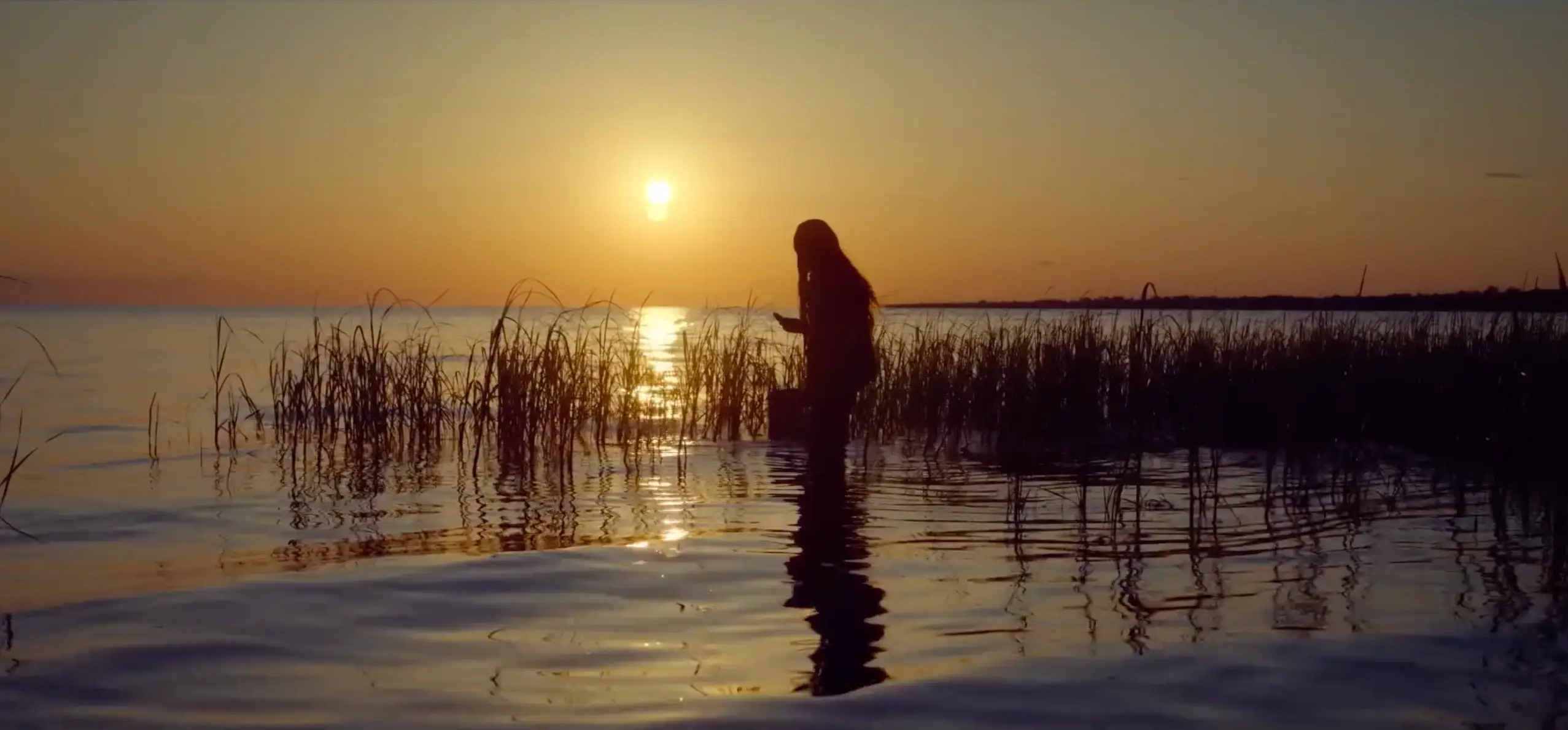 When the Crawdads Sing has been a hit with Netflix subscribers.