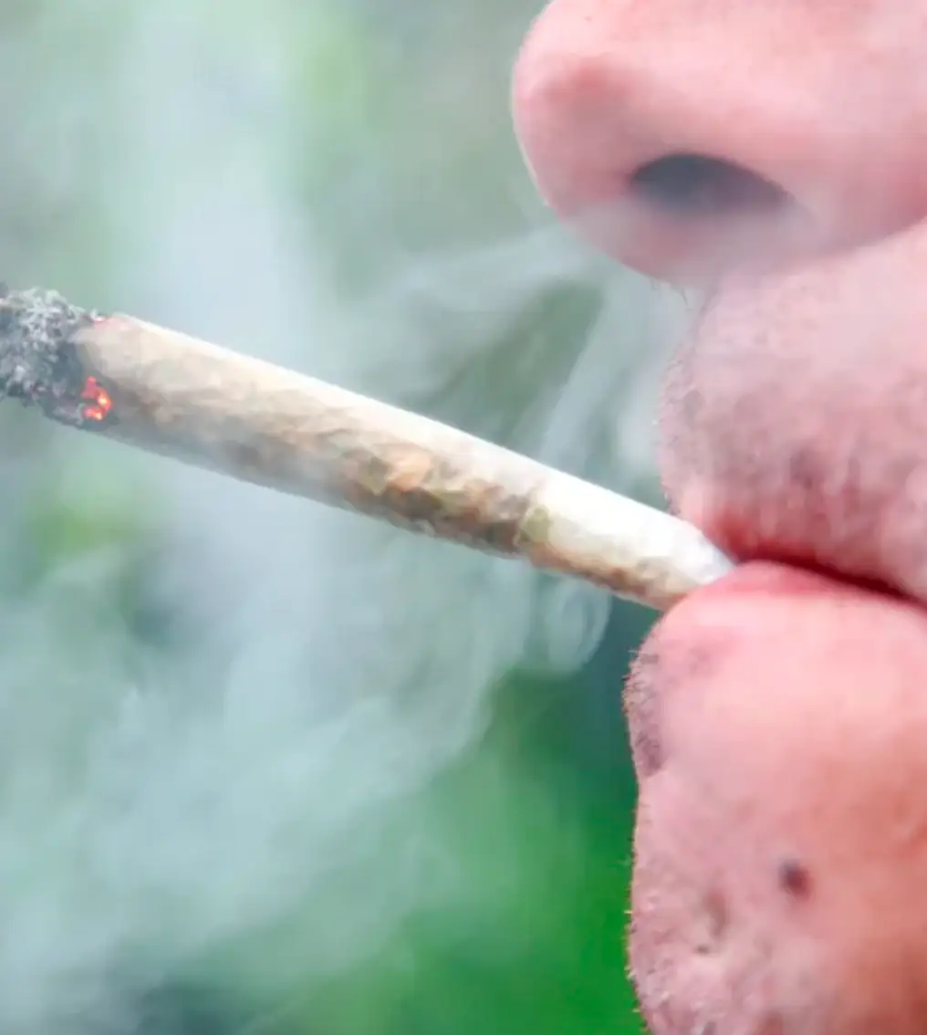 Tyson has previously said he wished he smoked earlier on in his life.