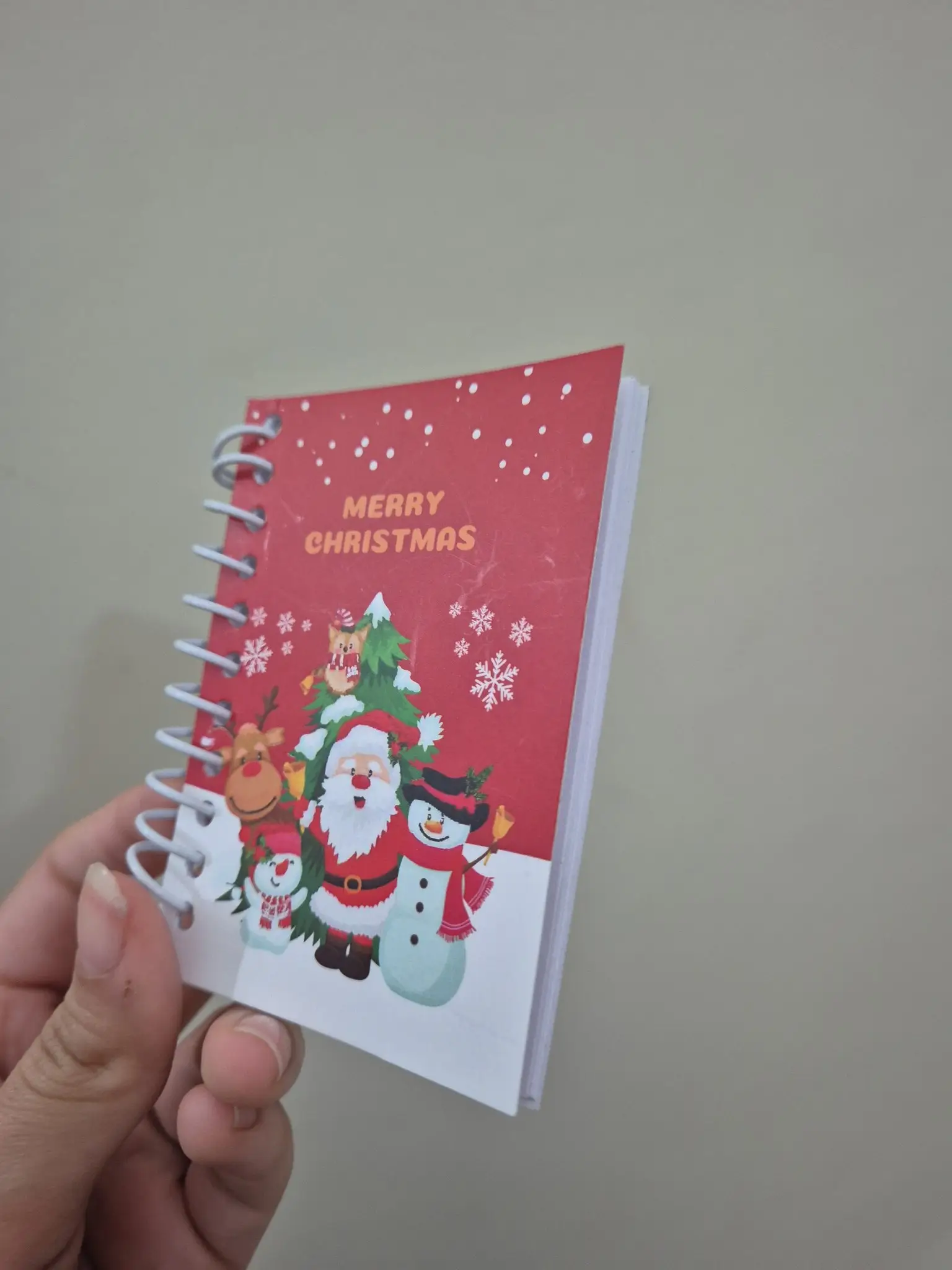 What more could you want for Christmas? (Twitter/ @chonkychihuahua) 