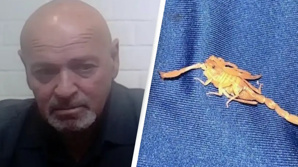 8 News Now/ Brian Virag