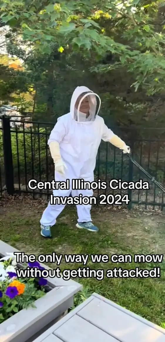 Yep, this is the reality. (TikTok/@megmoney618)