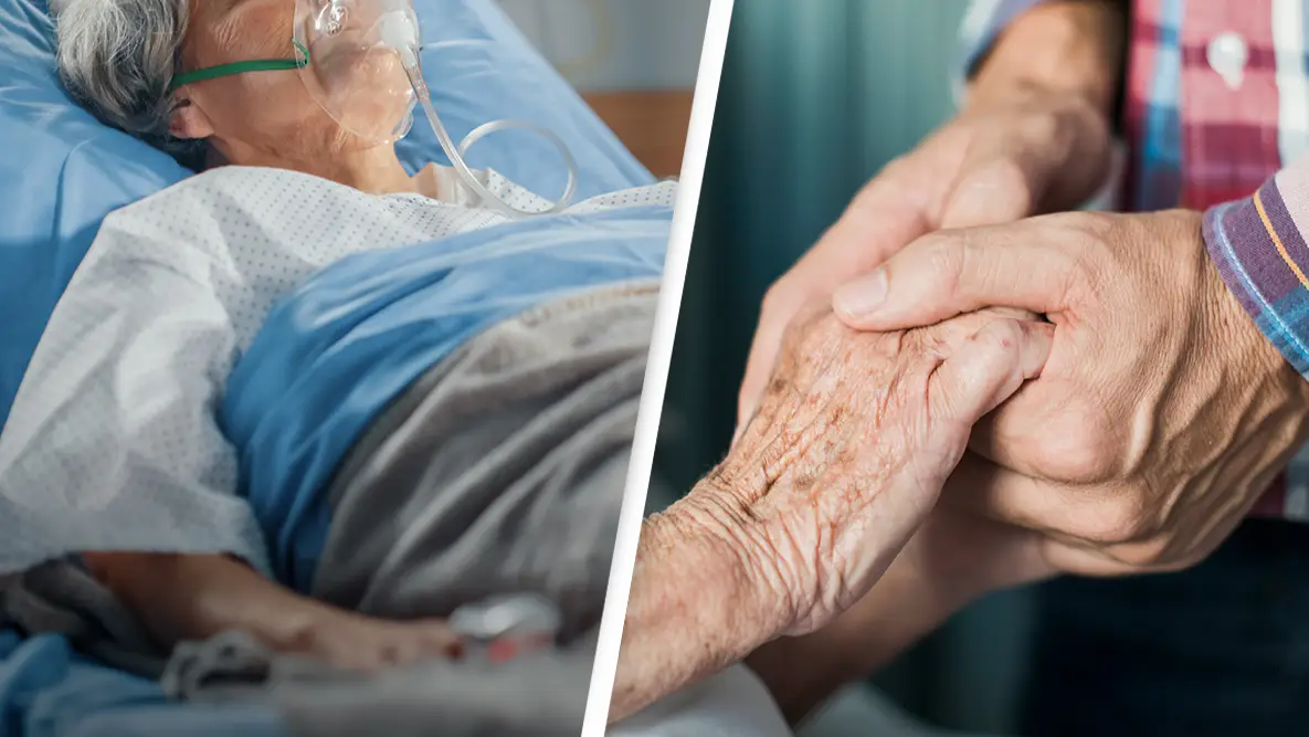 gorodenkoff/Getty / Portra Images/Getty